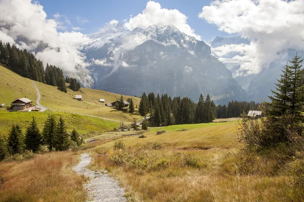 Horské vrcholy, zelené trávy a vodní toky v Grindelwald, Švýcarsko — Stock fotografie