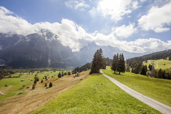 Dağ doruklarına, yeşil çim ve su akışları Grindelwald, İsviçre