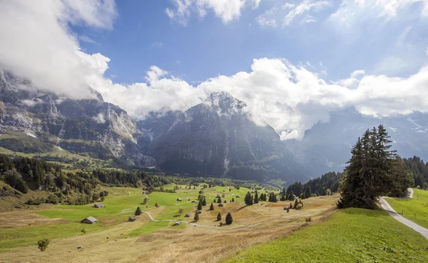 Dağ doruklarına, yeşil çim ve su akışları Grindelwald, İsviçre