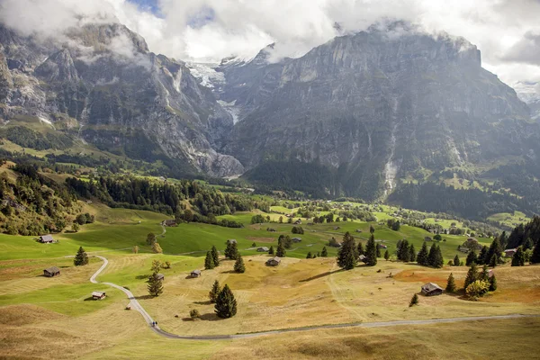 Berggipfel, grünes Gras und Wasserbäche im Grindelwald, Schweiz — Stockfoto