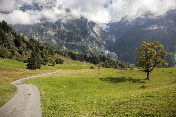 Dağ doruklarına, yeşil çim ve su akışları Grindelwald, İsviçre