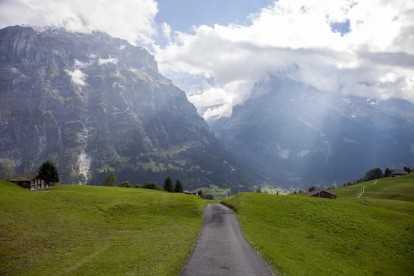 Dağ doruklarına, yeşil çim ve su akışları Grindelwald, İsviçre