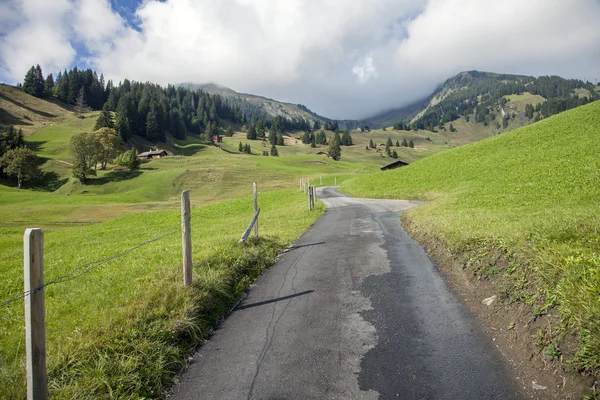 Picos de montaña, hierba verde y arroyos de agua en Grindelwald, Suiza — Foto de Stock