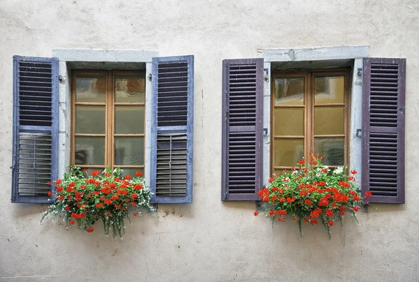 Vieja ventana con flores en una pared de ladrillo enlucido — Foto de Stock