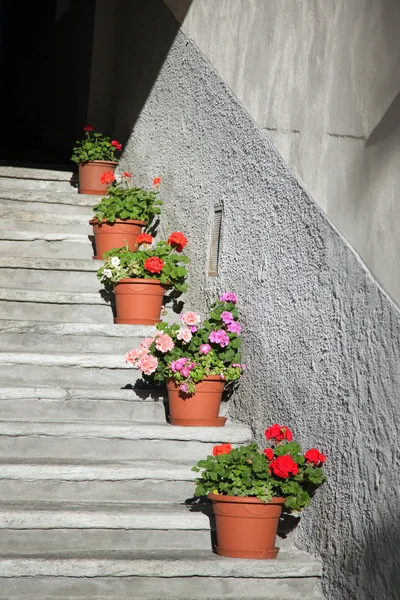 Escaleras decoradas con hermosas macetas en Courmayeur, región de Aosta, Italia — Foto de Stock