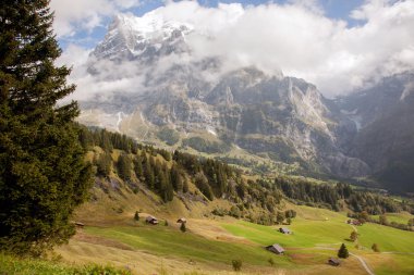 Mountain peaks, meadows and streams at the footsteps of Eiger, near Grindelwald, Switzerland