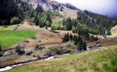 Mountain peaks, meadows and streams at the footsteps of Eiger, near Grindelwald, Switzerland