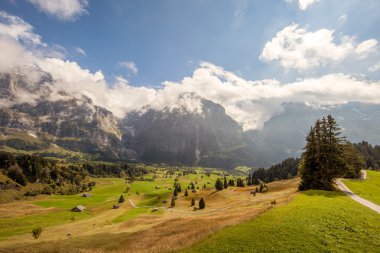 Mountain peaks, meadows and streams at the footsteps of Eiger, near Grindelwald, Switzerland