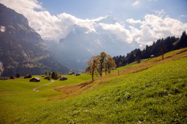 Mountain peaks, meadows and streams at the footsteps of Eiger, near Grindelwald, Switzerland