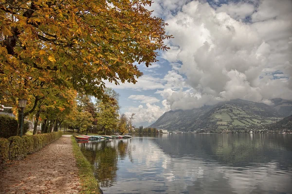 Herbst. Sturz. Herbstlicher Park. Herbstlaub in zell am see, Österreich — Stockfoto