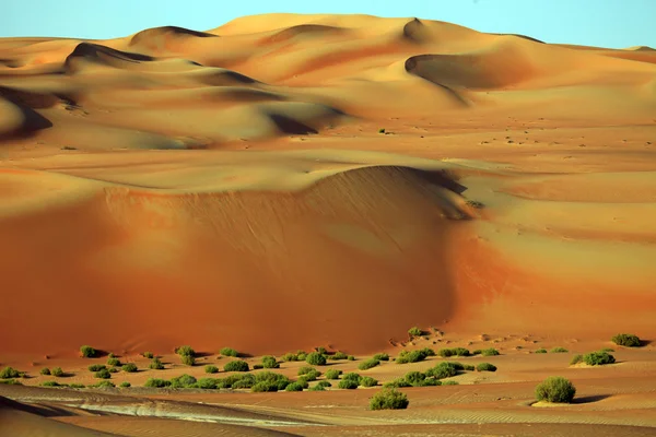 Піщані дюни в оазис Liwa, Об'єднані Арабські Емірати — стокове фото