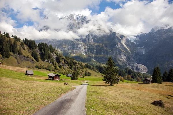 Mountain peaks, meadows and streams at the footsteps of Eiger, near Grindelwald, Switzerland — Stock fotografie