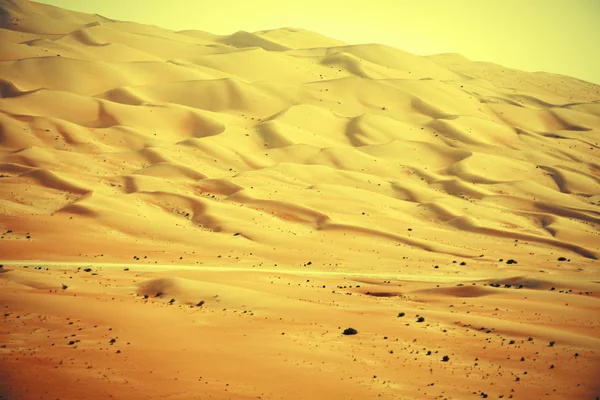 리와 오아시스, 아랍 에미리트 연방에 있는 놀라운 모래 언덕 대형 — 스톡 사진