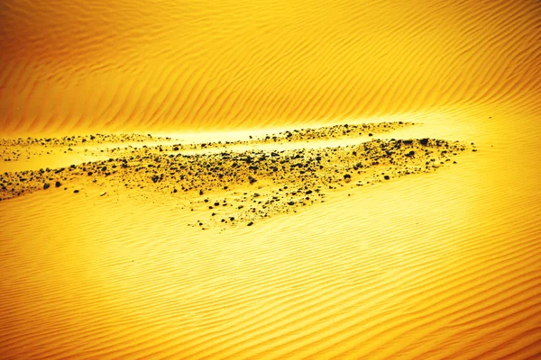 Wind created patterns in the sand dunes of Liwa oasis, United Arab Emirates