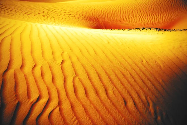 Wiatr utworzone wzory w wydmy oazy Liwa, Zjednoczone Emiraty Arabskie — Zdjęcie stockowe