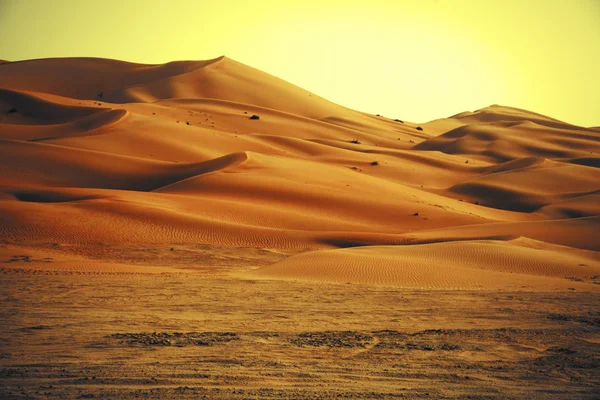 Incríveis formações de dunas de areia em Liwa oásis, Emirados Árabes Unidos — Fotografia de Stock