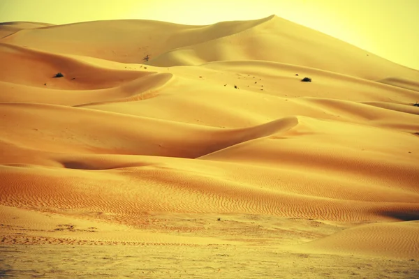 Incríveis formações de dunas de areia em Liwa oásis, Emirados Árabes Unidos — Fotografia de Stock