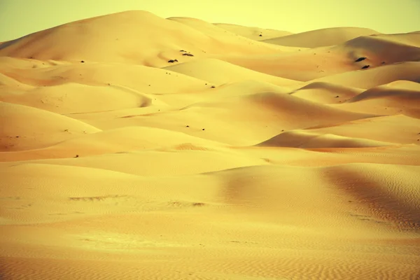Дивовижні утворення з піску, дюни Оазис Liwa, Об'єднані Арабські Емірати — стокове фото