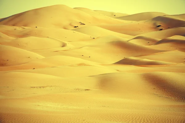 Incríveis formações de dunas de areia em Liwa oásis, Emirados Árabes Unidos — Fotografia de Stock