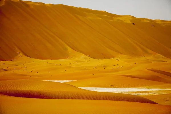 Удивительные песчаные дюны в оазисе Лива, ОАЭ — стоковое фото