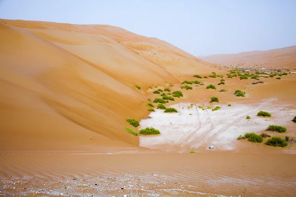 Amazing sand dune formations in Liwa oasis, United Arab Emirates — Stock Photo, Image