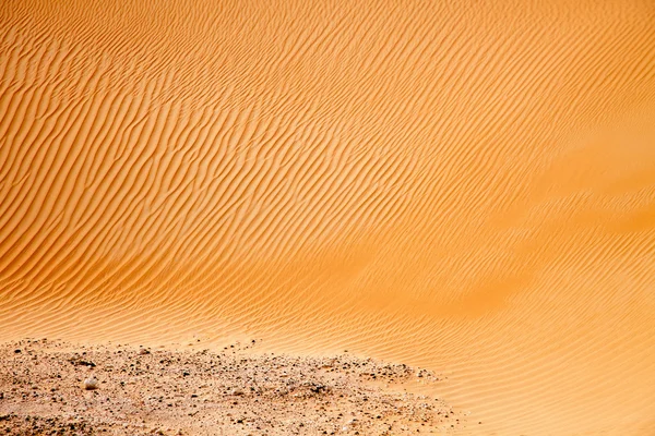 Vento criou padrões nas dunas de areia de Liwa oásis, Emirados Árabes Unidos — Fotografia de Stock