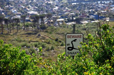 Yılan işareti yazı Capetown, Saouth Afrika çalıların arasında dikkat