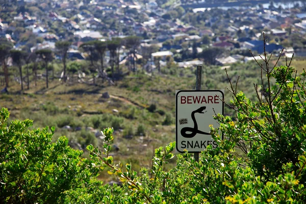 Yılan işareti yazı Capetown, Saouth Afrika çalıların arasında dikkat
