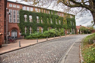 Bir tuğla Lubeck, Almanya'nın Bina Tırmanma üzüm