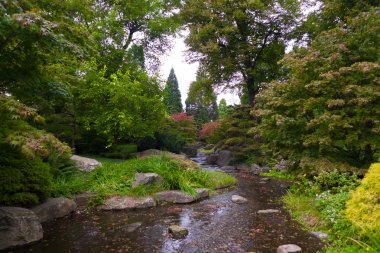 Sonbahar yaprakları ve Hamburg canlı renkler