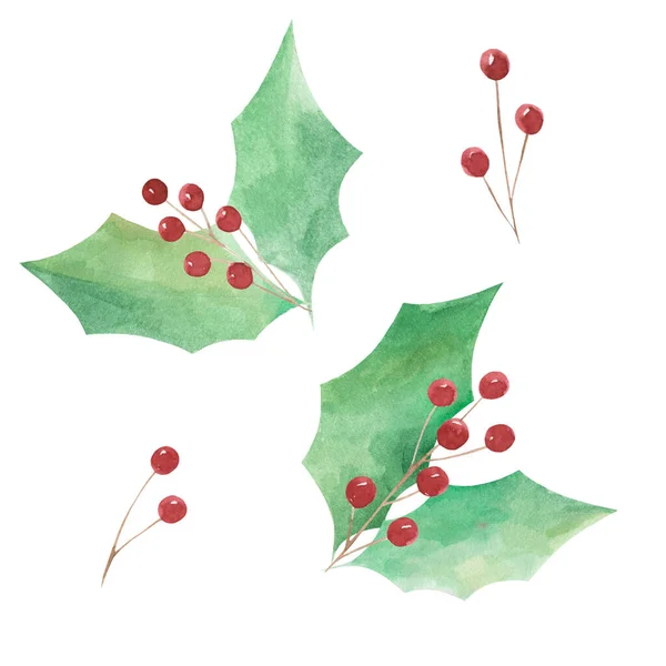 Zestaw Ich Akwareli Czerwone Jagody Zielone Liście Elementy Bożonarodzeniowe Natura — Zdjęcie stockowe