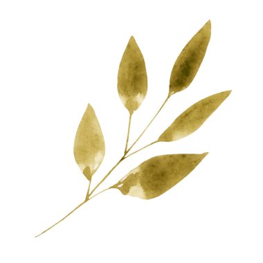 Yaprakları soyutlanmış suluboya dalları çizmek. Ağacın bir parçası, doğanın bir parçası. Botanik illüstrasyon.