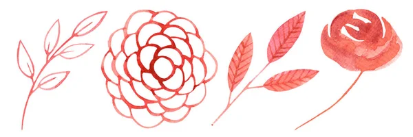 Набор Акварельных Красных Элементов Романтического Дизайна Роза Цветок Листья Веточки — стоковое фото