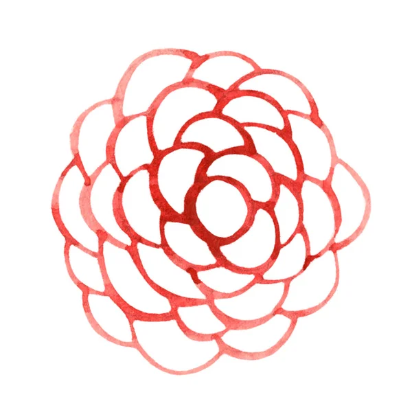 Akwarela Kontur Rysunek Czerwonego Kwiatu Rose Ilustracja Botaniczna Ręcznie Rysowane — Zdjęcie stockowe