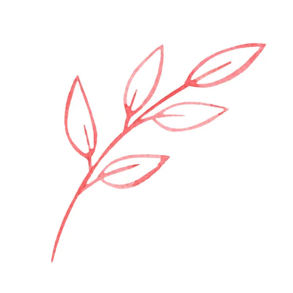 白色の背景に分離された水彩の赤い小枝 枝の概要図 植物の一部 植物図 — ストック写真