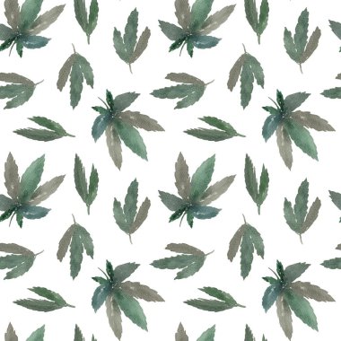 Beyaz arka planda kenevir yaprakları olan kusursuz bir desen. Esrar, esrar, doğa, bitkiler, ilaç.