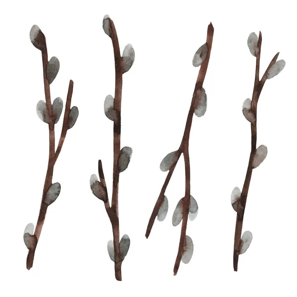 Seth Watercolor Festive Twigs Pussy Willow Easter Spring Palm Sunday — Fotografia de Stock