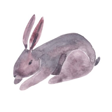 Tatlı Paskalya tavşanı suluboya beyaz arka planda izole edilmiş. Şenlikli tavşan..