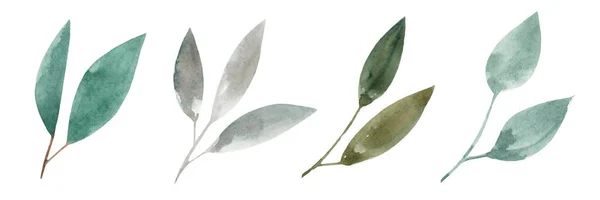 Sada Akvarelových Větviček Zelenými Listy Izolované Bílém Pozadí Jarní Léto — Stock fotografie