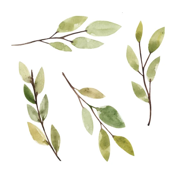 Sada Ručně Kreslených Akvarelových Jarních Větviček Zelenými Listy Izolované Přes — Stock fotografie