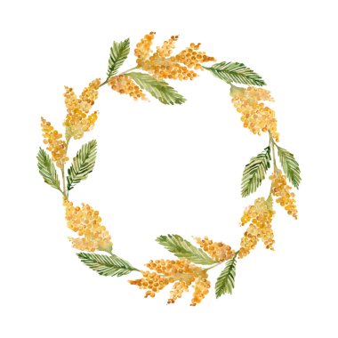  Sarı mimoza çiçeği suluboya çelengi. Kartlar, düğün davetiyeleri, dekorasyon için. Merhaba bahar. Anneler Günü, Kadınlar Günü, 8 Mart. Paskalya.