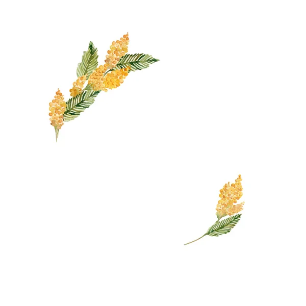 Στεφάνι Ακουαρέλας Από Κίτρινη Μιμόζα Εαρινό Φυτό Για Κάρτες Διακοπών — Φωτογραφία Αρχείου