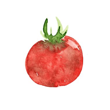 Suluboya beyaz arka planda izole edilmiş kırmızı domates çiziyor. Sebzeler. Çiftlik ürünü. Yaz hasadı.