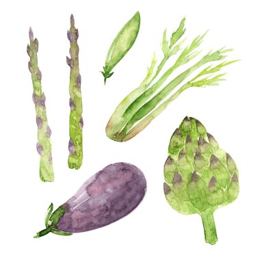 Set of watercolor drawings of vegetables isolated on white background. Asparagus, celery, pea pod, eggplant. Healthy eating. Farm products from the garden.