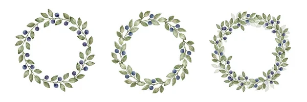 Set Watercolor Blueberry Wreaths Isolated White Background Holiday Cards Wedding — Stock Photo, Image