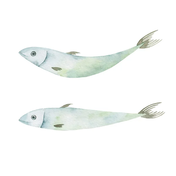 Uppsättning Akvarell Hand Rita Fisk Isolerad Vit Bakgrund Fiske Fångst — Stockfoto
