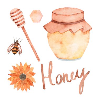 Bir dizi suluboya çizimi el yapımı bal kavanozu, kaşık, arı, çiçek, bal peteği. Beyaz arka planda izole edilmiş. Sonbahar hasadı.
