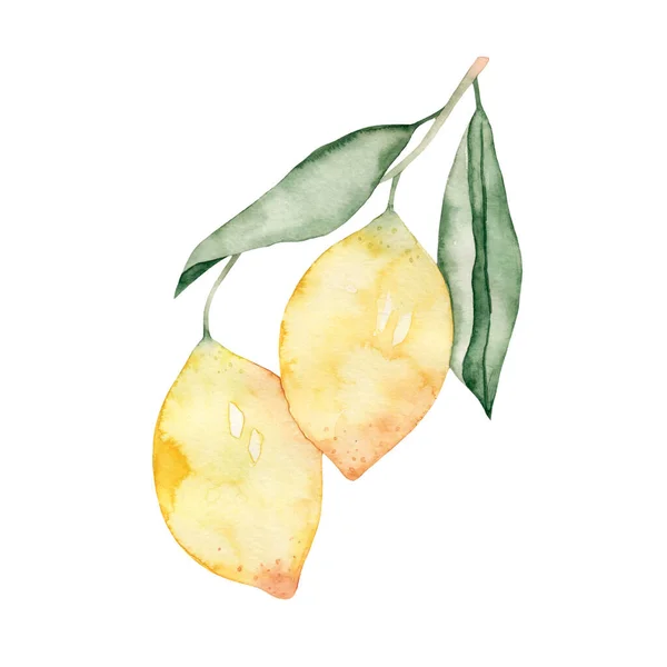 Acquerello Disegno Limone Ramoscello Con Foglie Isolate Sfondo Bianco Frutta — Foto Stock
