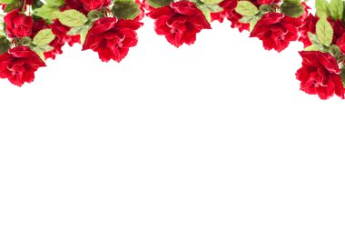 kırmızı gül çiçek, güzel plastik gül çiçek sığ derin zekâ