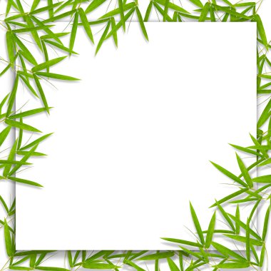 Bambu yaprak ve çerçeve arka plan, metin için boş yer ile.